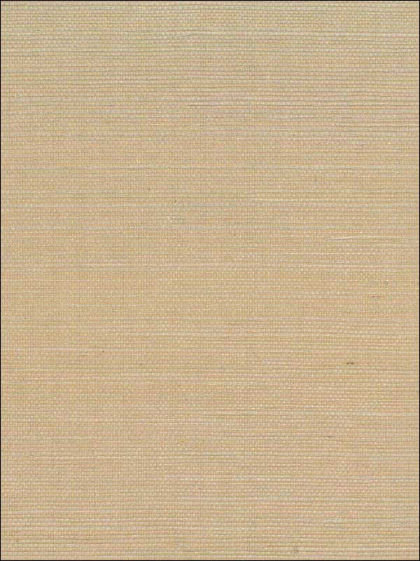 Sisal Wallpaper NA219 by Collins and Company Wallpaper for sale at Wallpapers To Go