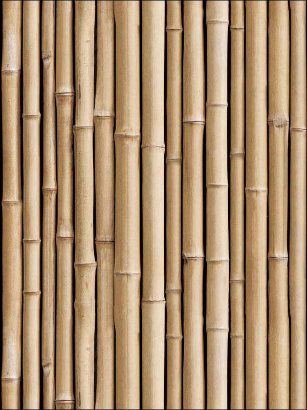 Bamboo Brown Wallpaper RMK11434WP by York Wallpaper for sale at Wallpapers To Go