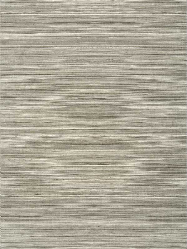 Kendari Grass Taupe Wallpaper T297 by Thibaut Wallpaper for sale at Wallpapers To Go
