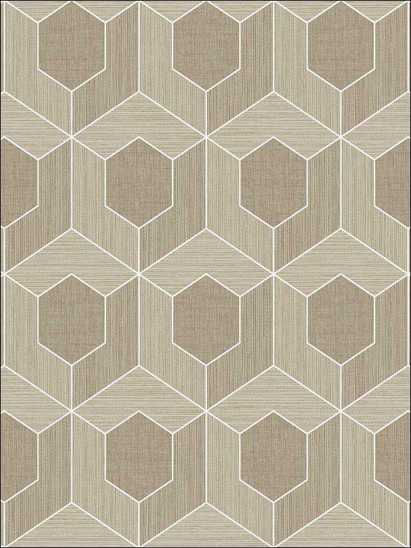 3D Hexagon Soft Brown Wallpaper RM70406 by Casa Mia Wallpaper for sale at Wallpapers To Go