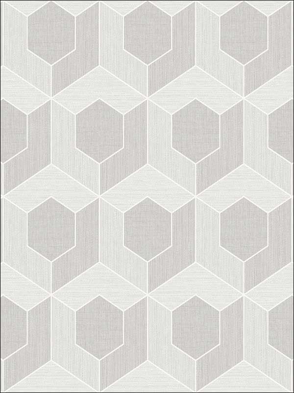3D Hexagon Soft Grey Wallpaper RM70407 by Casa Mia Wallpaper for sale at Wallpapers To Go