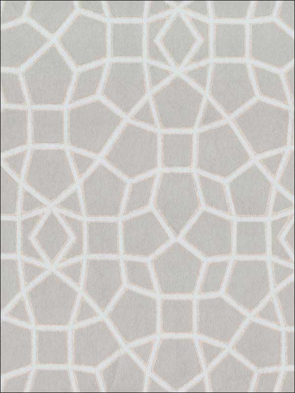 Sculptural Web Lt Grey Cream Wallpaper HC7526 by Ronald Redding Wallpaper for sale at Wallpapers To Go