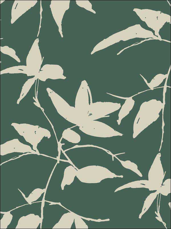 Persimmon Leaf Dark Green Wallpaper AF6513 by Ronald Redding Wallpaper for sale at Wallpapers To Go