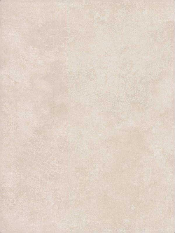 Relic Light Gray Wallpaper 83619 by York Wallpaper for sale at Wallpapers To Go