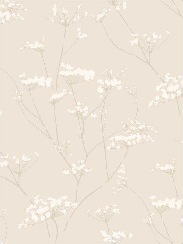 Enchanted Cream Wallpaper DN3708 by Candice Olson Wallpaper for sale at Wallpapers To Go