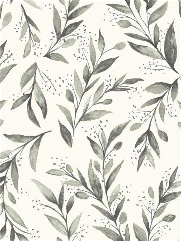 Olive Branch Charcoal Peel and Stick Wallpaper PSW1003RL by Magnolia Home Wallpaper by Joanna Gaines for sale at Wallpapers To Go