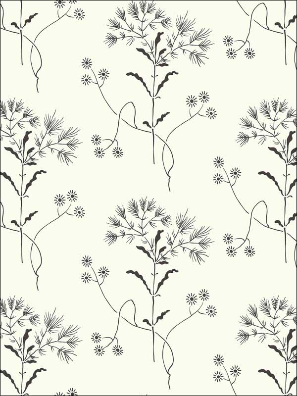 Wildflower Black White Peel and Stick Wallpaper PSW1153RL by Magnolia Home Wallpaper by Joanna Gaines for sale at Wallpapers To Go