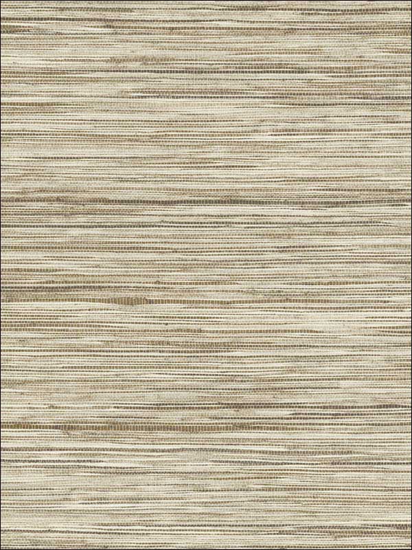 Bahia Grass Beige Peel and Stick Wallpaper PSW1135RL by York Wallpaper for sale at Wallpapers To Go
