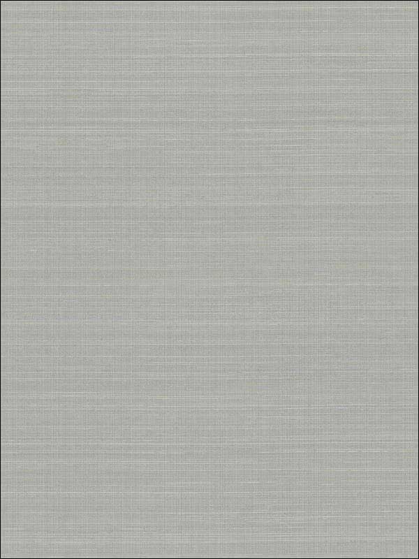 Laguna Abaca Blue Gray Peel and Stick Wallpaper PSW1179RL by York Wallpaper for sale at Wallpapers To Go