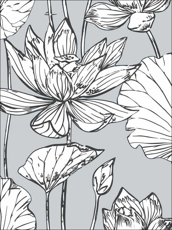Lotus Floral Gray and Ebony Wallpaper NW33108 by NextWall Wallpaper for sale at Wallpapers To Go