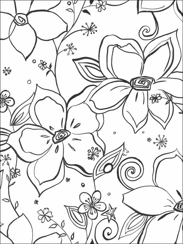 Linework Floral Black and White Wallpaper NW34900 by NextWall Wallpaper for sale at Wallpapers To Go
