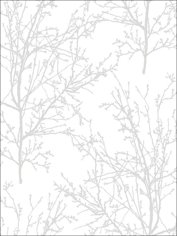 Tree Branches Pearl Gray Wallpaper NW36118 by NextWall Wallpaper for sale at Wallpapers To Go