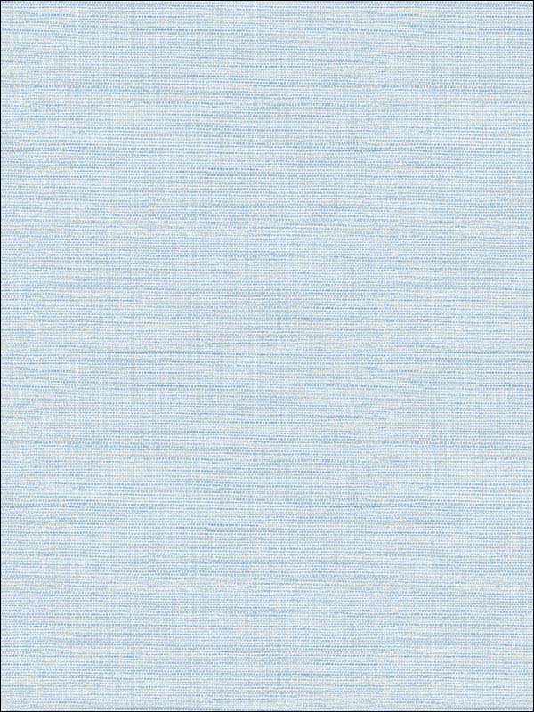 Agave Blue Faux Grasscloth Wallpaper 290224283 by A Street Prints Wallpaper for sale at Wallpapers To Go