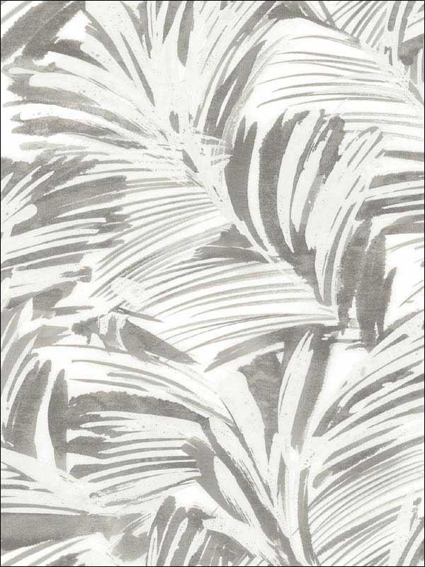 Chaparral Grey Fronds Wallpaper 312013713 by Chesapeake Wallpaper for sale at Wallpapers To Go