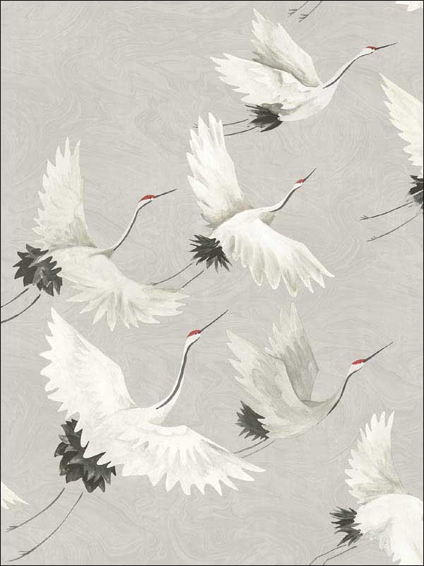 Windsong Grey Bird Wallpaper 290424304 by Brewster Wallpaper for sale at Wallpapers To Go