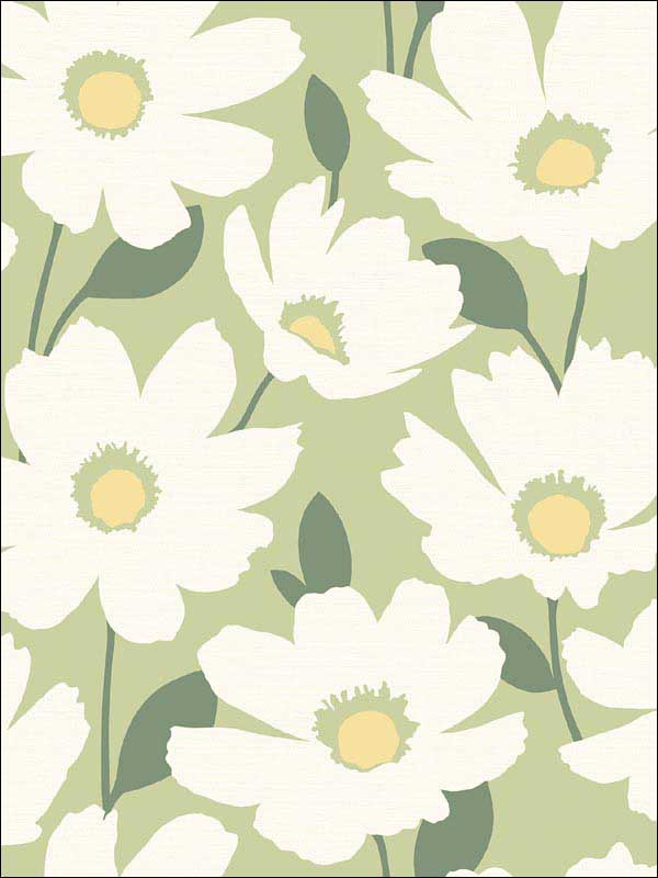 Astera Green Floral Wallpaper 290425677 by Brewster Wallpaper for sale at Wallpapers To Go