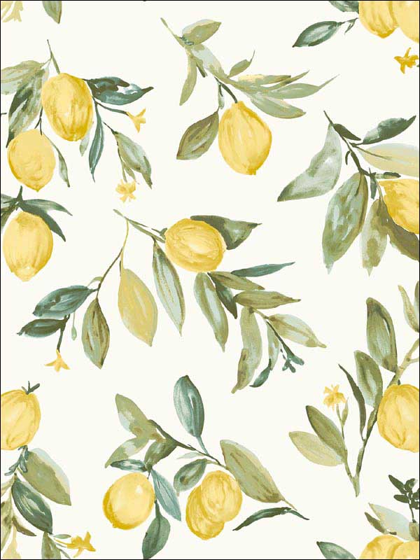Limon Yellow Fruit Wallpaper 290425687 by Brewster Wallpaper for sale at Wallpapers To Go