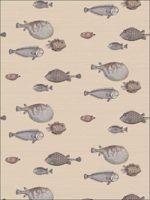 Acquario Taupe Wallpaper 11416033 by Cole and Son Wallpaper for sale at Wallpapers To Go