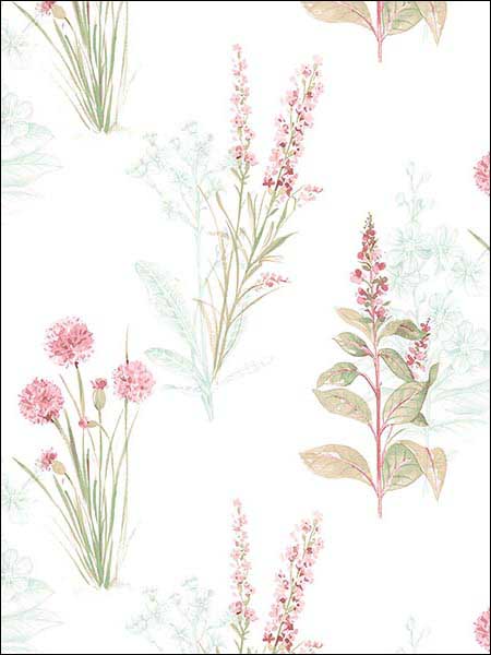 Flora Pink Green Wallpaper AB42442 by Patton Norwall Wallpaper for sale at Wallpapers To Go