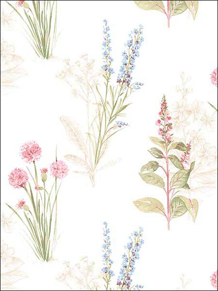 Flora Cream Blue Pink Wallpaper AB42445 by Patton Norwall Wallpaper for sale at Wallpapers To Go