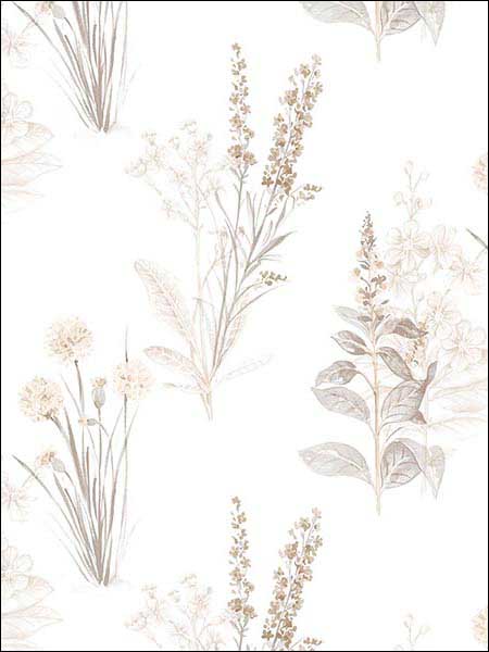 Flora Grey Sepia Beige Wallpaper AB42446 by Patton Norwall Wallpaper for sale at Wallpapers To Go