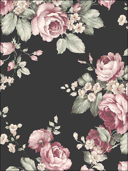Grand Floral Black Ebony Plum Pink Wallpaper AF37700 by Patton Norwall Wallpaper for sale at Wallpapers To Go