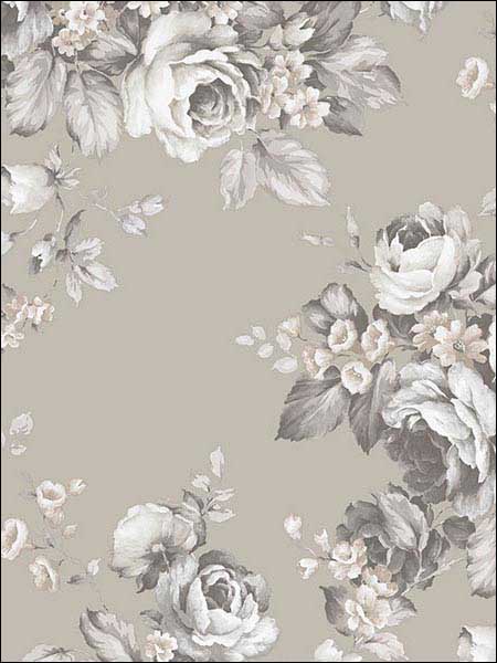 Grand Floral Black Ebony Plum Pink Wallpaper AF37701 by Patton Norwall Wallpaper for sale at Wallpapers To Go