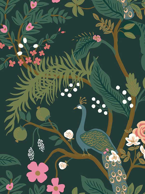 Peacock Emerald Wallpaper RI5168 by Rifle Paper Co Wallpaper for sale at Wallpapers To Go