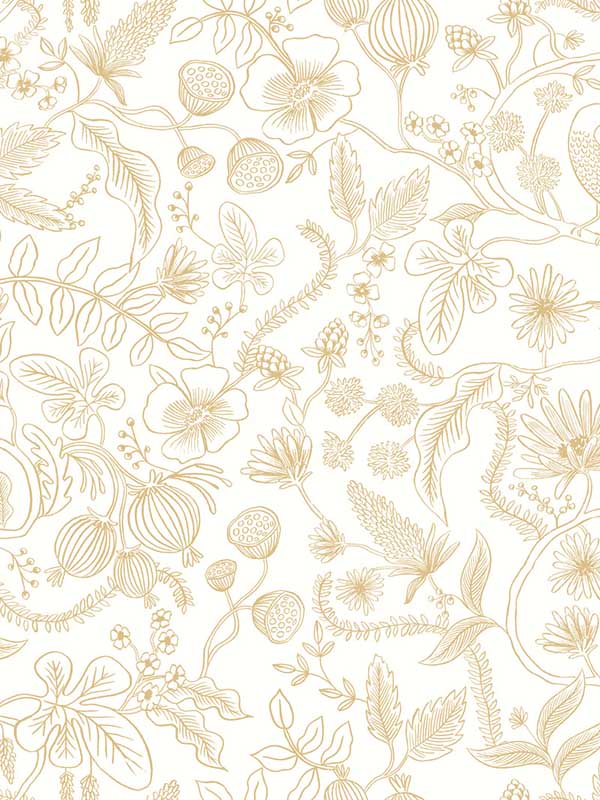 Aviary Off White Gold Peel and Stick Wallpaper PSW1309RL by Rifle Paper Co Wallpaper for sale at Wallpapers To Go