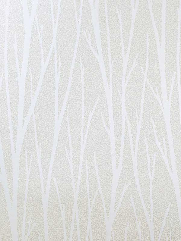 Birch Trail Off White Wallpaper 2232133 by Seabrook Wallpaper for sale at Wallpapers To Go
