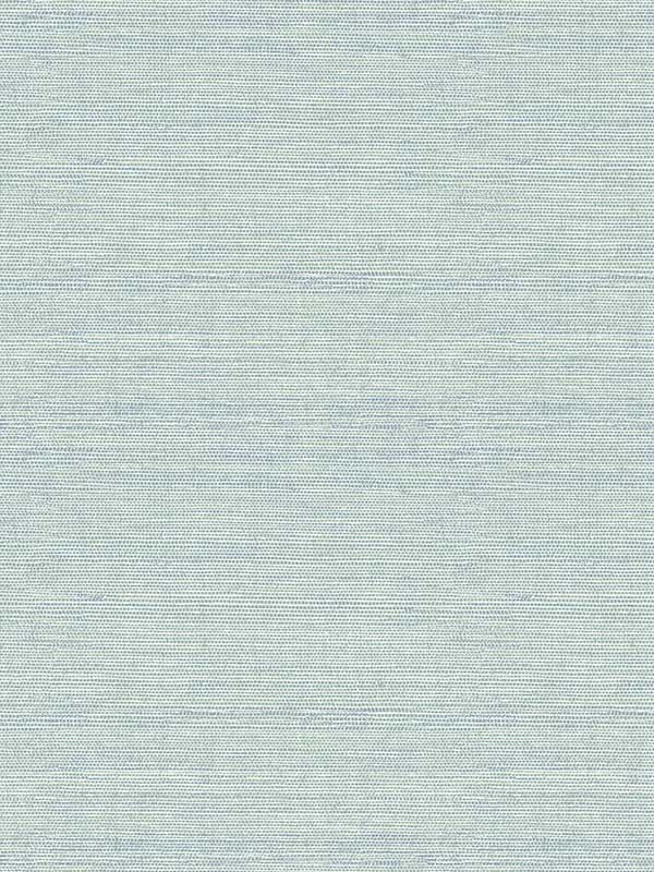 Agave Aqua Imitation Grasscloth Look Wallpaper 296924282 by A Street Prints Wallpaper for sale at Wallpapers To Go