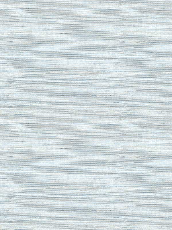 Agave Blue Imitation Grasscloth Wallpaper 296924283 by A Street Prints Wallpaper for sale at Wallpapers To Go