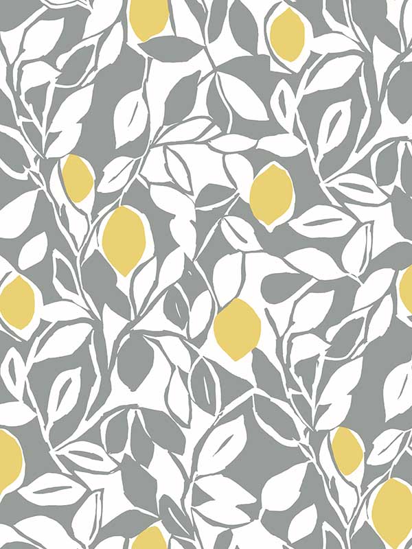 Loretto Grey Citrus Wallpaper 296926025 by A Street Prints Wallpaper for sale at Wallpapers To Go