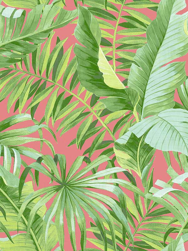Alfresco Coral Tropical Palm Wallpaper 296926055 by A Street Prints Wallpaper for sale at Wallpapers To Go
