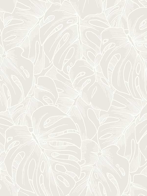 Balboa White Botanical Wallpaper 296487340 by A Street Prints Wallpaper for sale at Wallpapers To Go