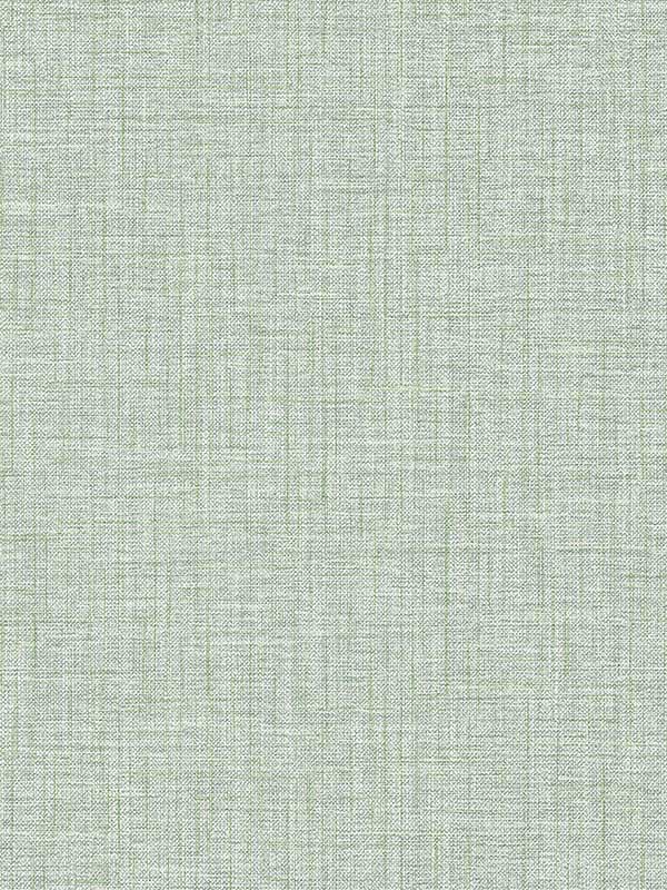 Lanister Green Texture Wallpaper 297526235 by A Street Prints Wallpaper for sale at Wallpapers To Go