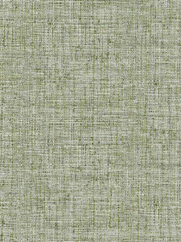 Papyrus Weave Look Green Wallpaper CY1561 by York Wallpaper for sale at Wallpapers To Go