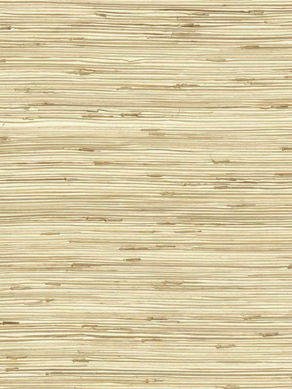 River Grass Beige Wallpaper NZ0781 by York Wallpaper for sale at Wallpapers To Go