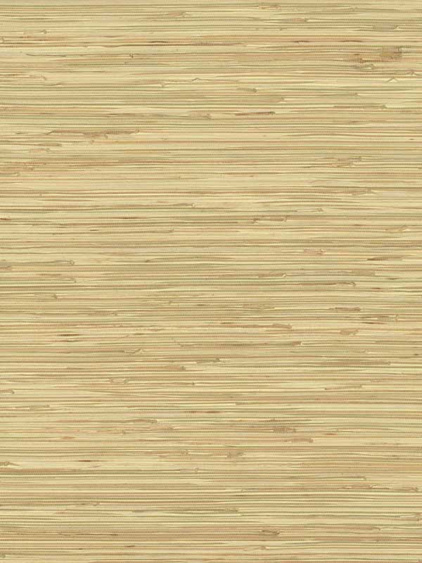 River Grass Beige Wallpaper NZ0787 by York Wallpaper for sale at Wallpapers To Go