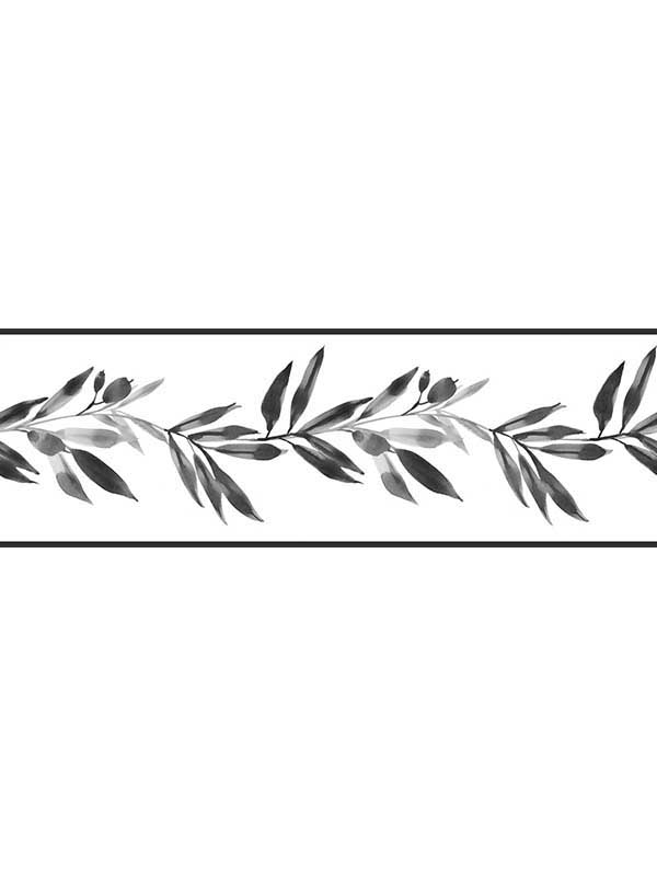 Olive Branch Black White Border FH4100BD by York Wallpaper for sale at Wallpapers To Go
