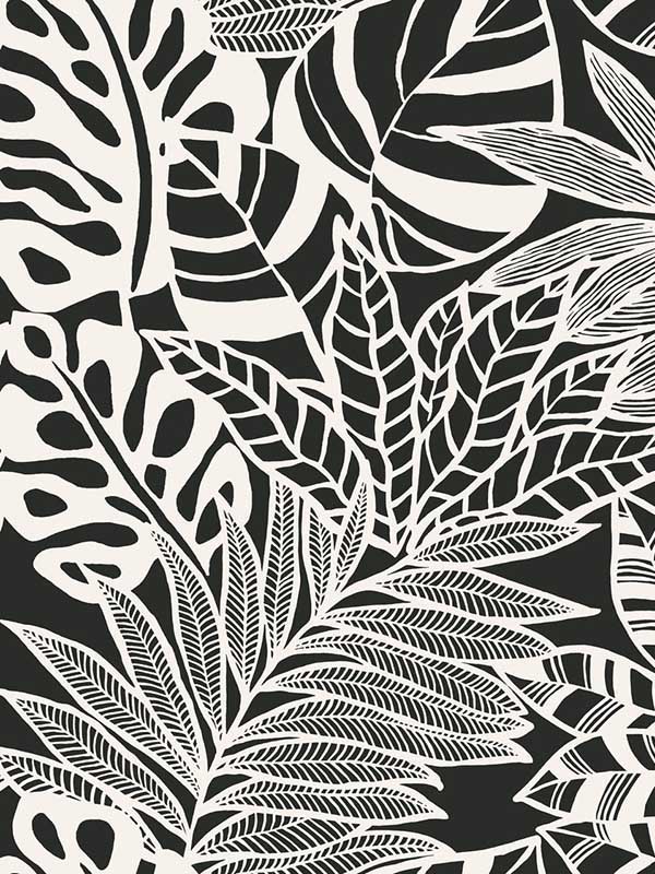 Jungle Leaves Black White Wallpaper SS2575 by York Wallpaper for sale at Wallpapers To Go