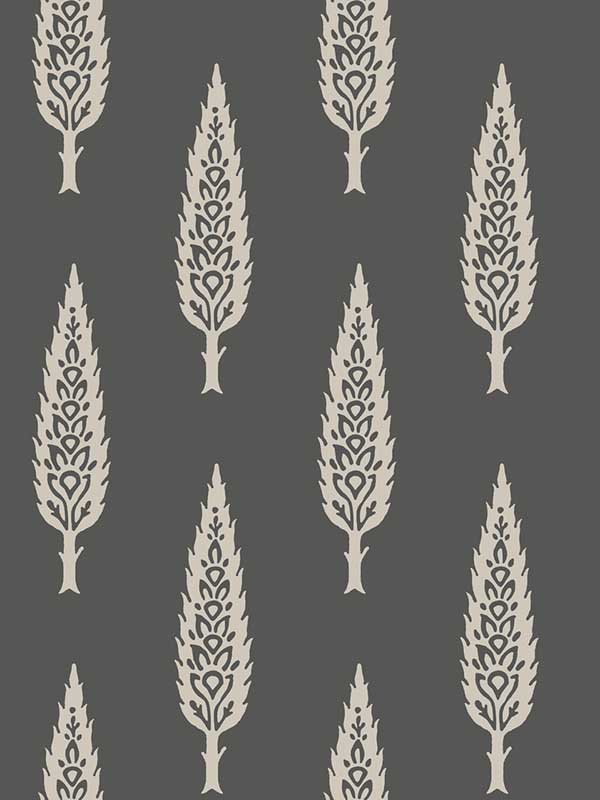 Juniper Tree Black Taupe Wallpaper SS2607 by York Wallpaper for sale at Wallpapers To Go