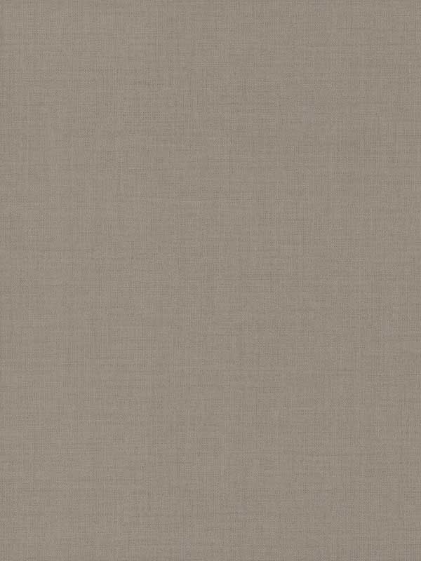 Gesso Weave Look Camel Wallpaper 5983 by York Wallpaper for sale at Wallpapers To Go