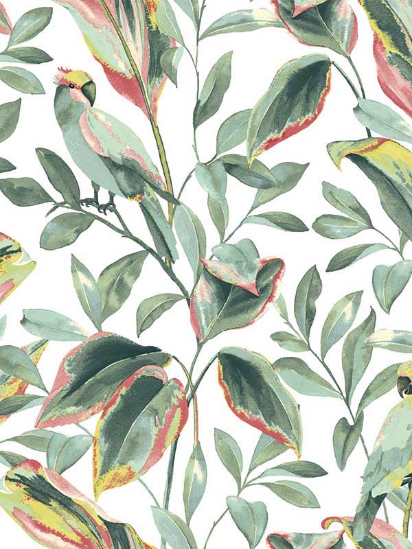 Tropical Love Birds White Coral Wallpaper TC2653 by York Wallpaper for sale at Wallpapers To Go