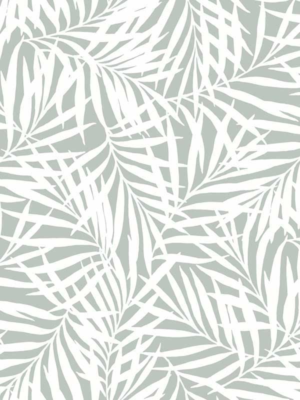 Oahu Fronds Light Green White Wallpaper CV4434 by York Wallpaper for sale at Wallpapers To Go