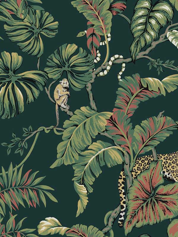 Jungle Cat Dark Green Wallpaper HO2146 by Ronald Redding Wallpaper for sale at Wallpapers To Go