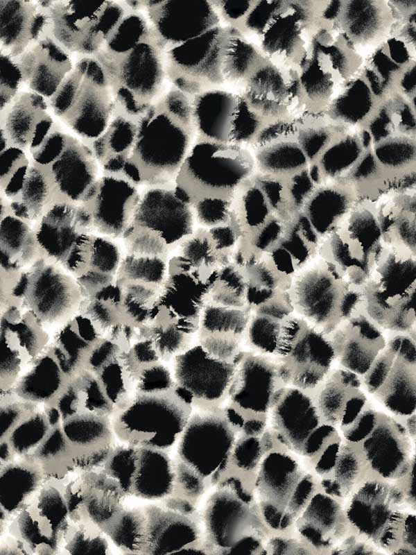 Leopard Rosettes Black Off White Wallpaper HO2164 by Ronald Redding Wallpaper for sale at Wallpapers To Go
