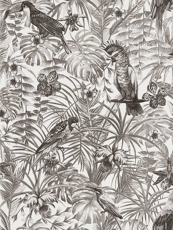 Susila Grey Tropical Wallpaper 2979372105 by Advantage Wallpaper for sale at Wallpapers To Go
