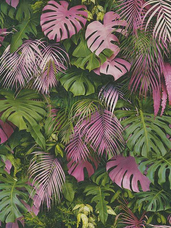 Luana Pink Tropical Forest Wallpaper 2979372801 by Advantage Wallpaper for sale at Wallpapers To Go