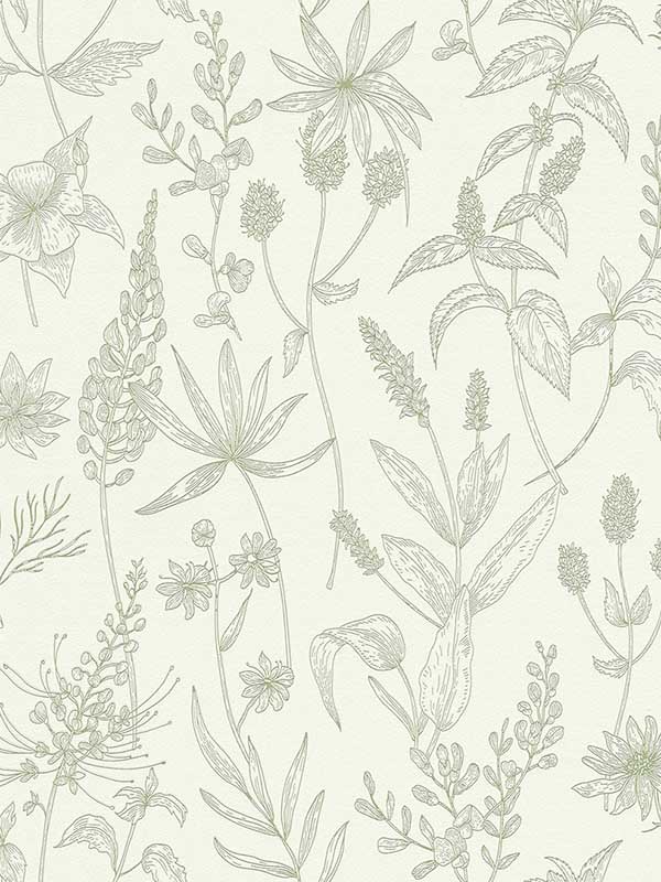 Nami Olive Floral Wallpaper 2979373635 by Advantage Wallpaper for sale at Wallpapers To Go